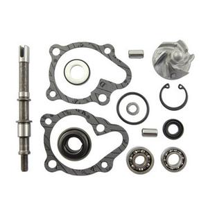 Κιτ επισκευής αντλίας νερού Vicma 11625