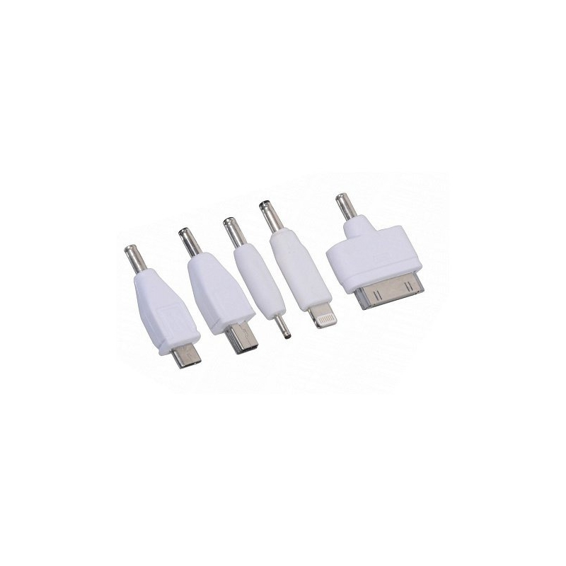 Φορτιστής τηλεφώνου 12V 2,1A (iPhone 4/5/6, micro USB, Nokia)