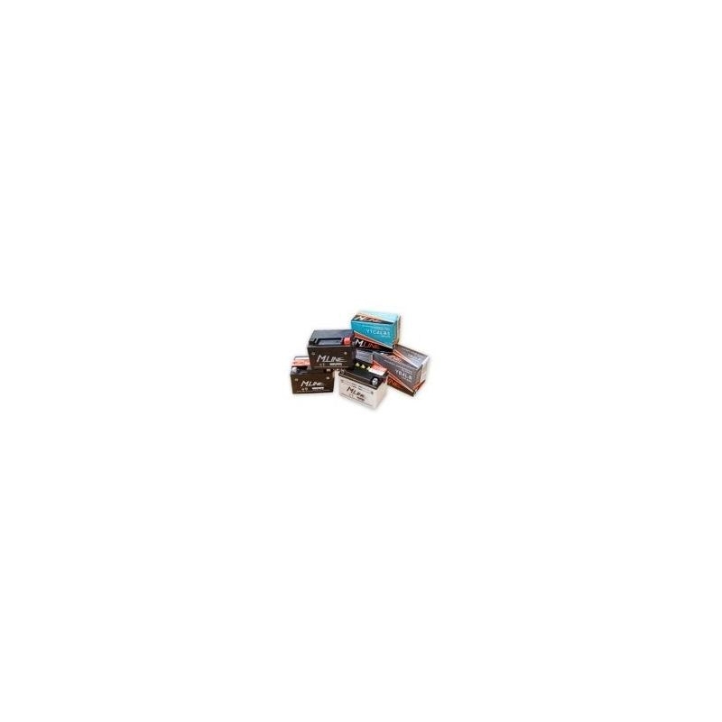 Baterie standard M-Line YB14L-B2