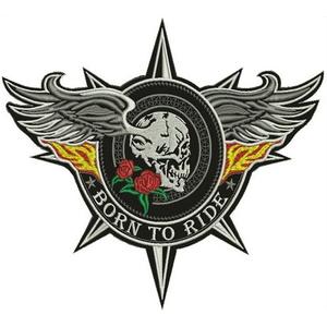 Επιδιόρθωση Born To Ride