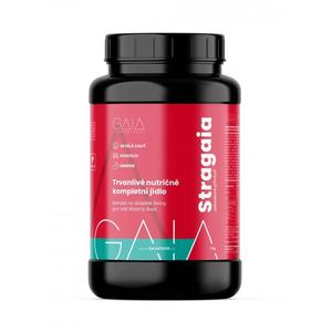 Στιγμιαία τροφή GAIA Stragaia 1 kg φράουλα