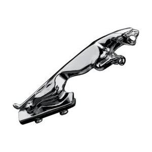 Fender διακόσμηση Panther